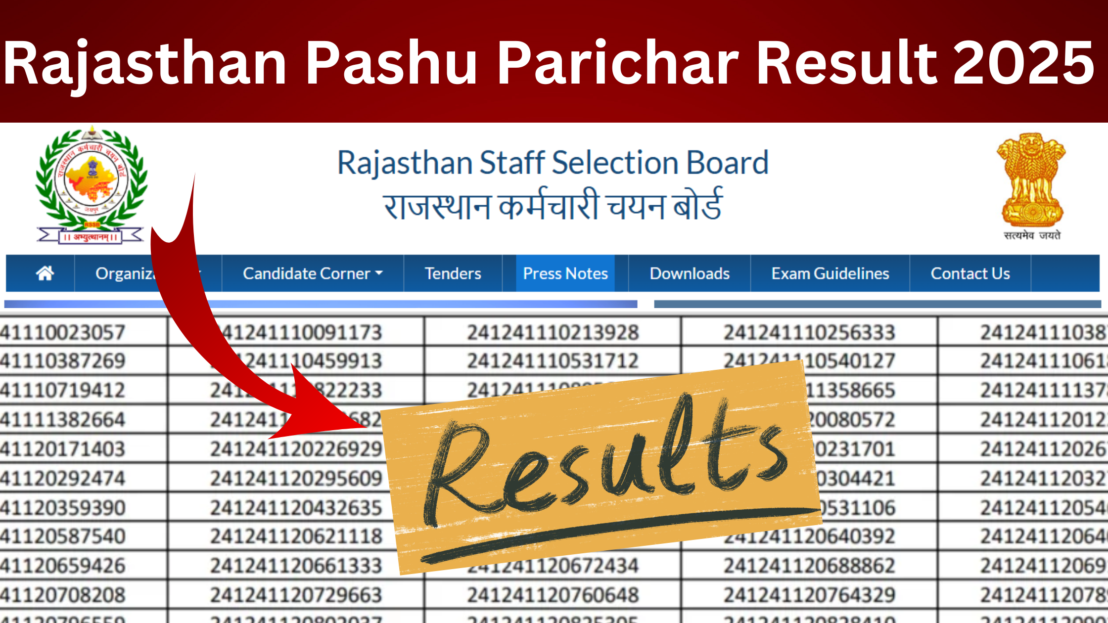 Rajasthan Pashu Parichar Result 2025